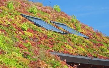 Upper Hackney living roof systems