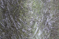 Upper Hackney fibreglass roof work